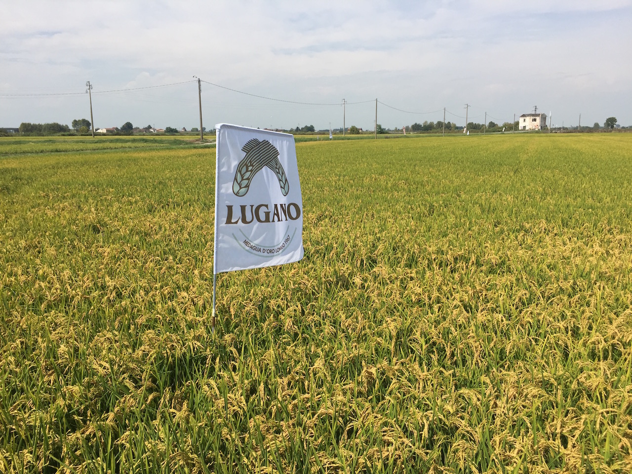 Visita in campo Lugano