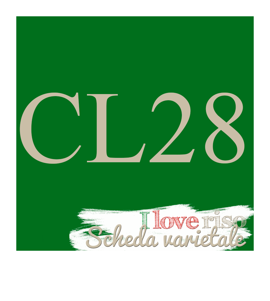CL28